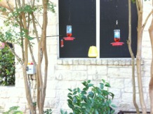 2011-05-24-Janeen's TBI-42.jpg